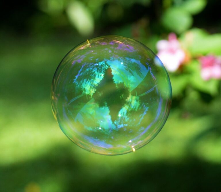 A zoomed-in photo of a colorful bubble. In the background there are several plants and flowers.